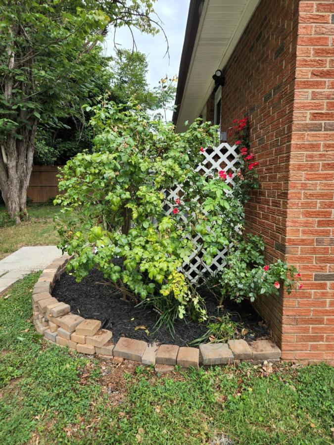 2Br 1Ba Duplex House King Beds Great For Small Groups Close To All Uptown Charlotte Attractions Esterno foto